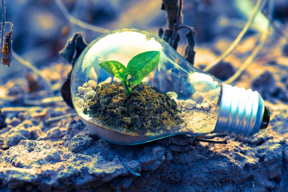 key steps to achieve explosive business growth