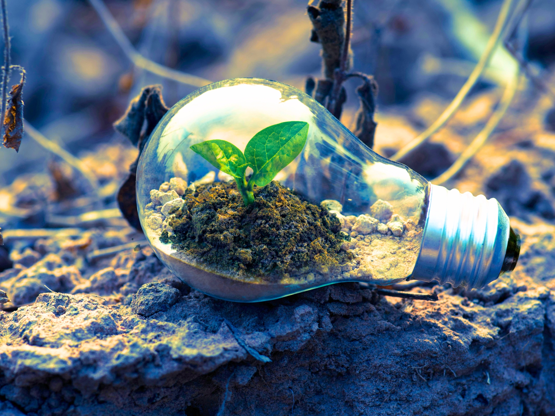 key steps to achieve explosive business growth